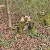 04 Aktion April 25 Feen und Wichtelwald